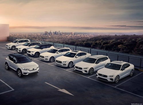 沃爾沃11月銷量增長24.5%，庫存深度不足一個月再創新紀錄